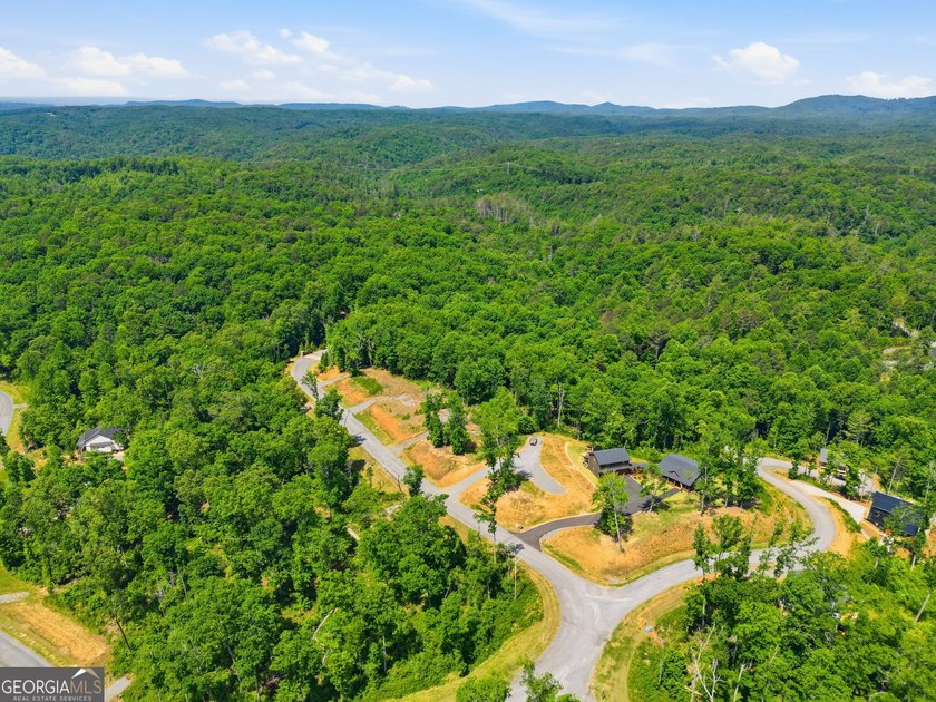 Experience mountain living at its finest in this stunning custom - photo 45