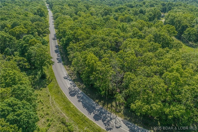 Excellent building lot consisting of 3.01 acres located on Ivy - photo 11