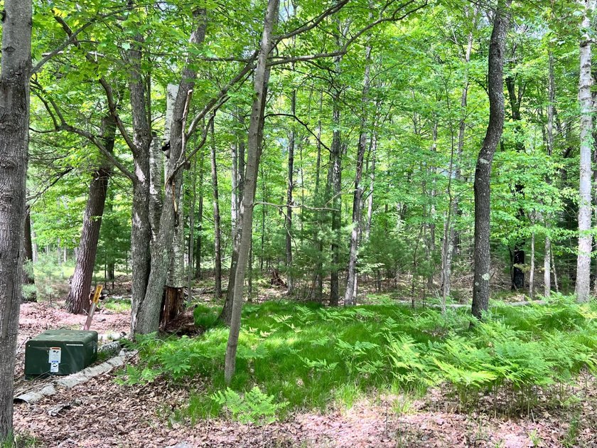 2.16 Acre Build-Ready Lot near Eagle River! Tucked away in a - photo 13