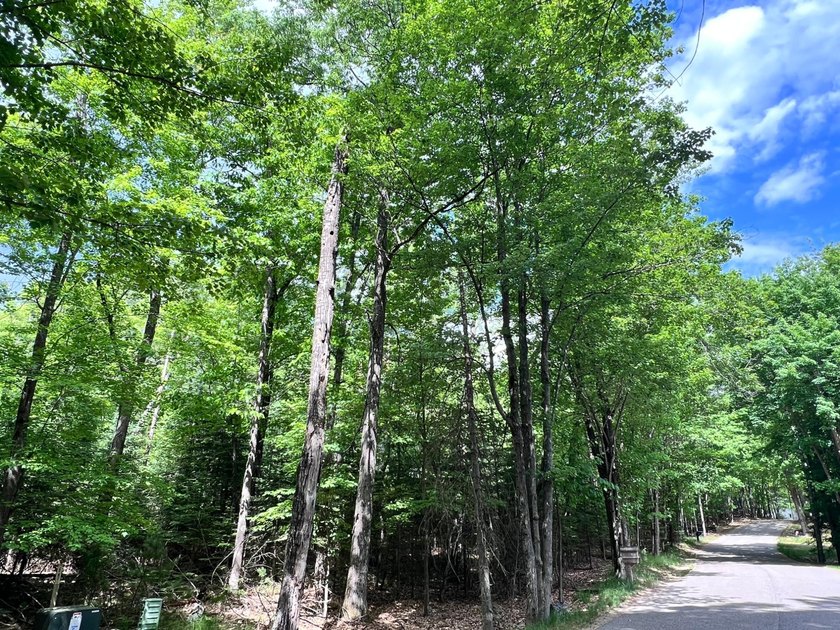 Half an Acre Lot near Eagle River! Tucked away in a peaceful - photo 11