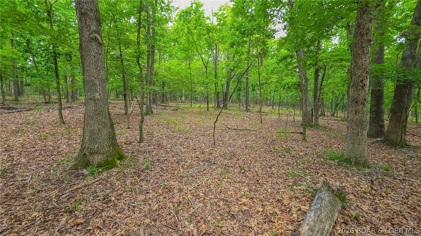 Embrace the perfect blend of natural tranquility and luxury - photo 12