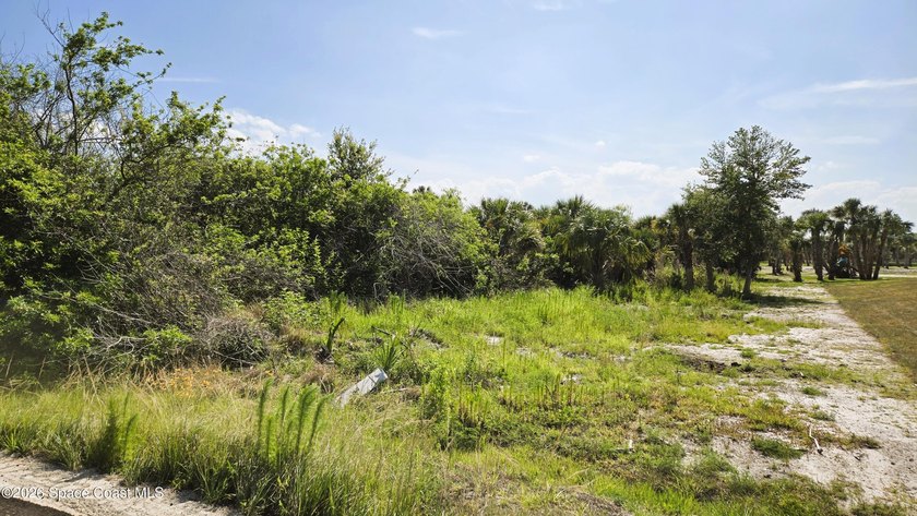 BUILD YOUR DREAM HOME IN THE COUNTRY! Nature abounds in this - photo 3
