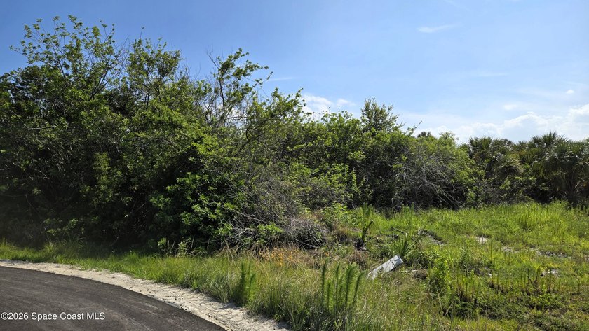 BUILD YOUR DREAM HOME IN THE COUNTRY! Nature abounds in this - photo 4