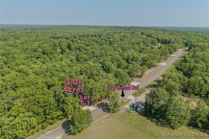 Excellent building lot consisting of 3.01 acres located on Ivy - photo 12