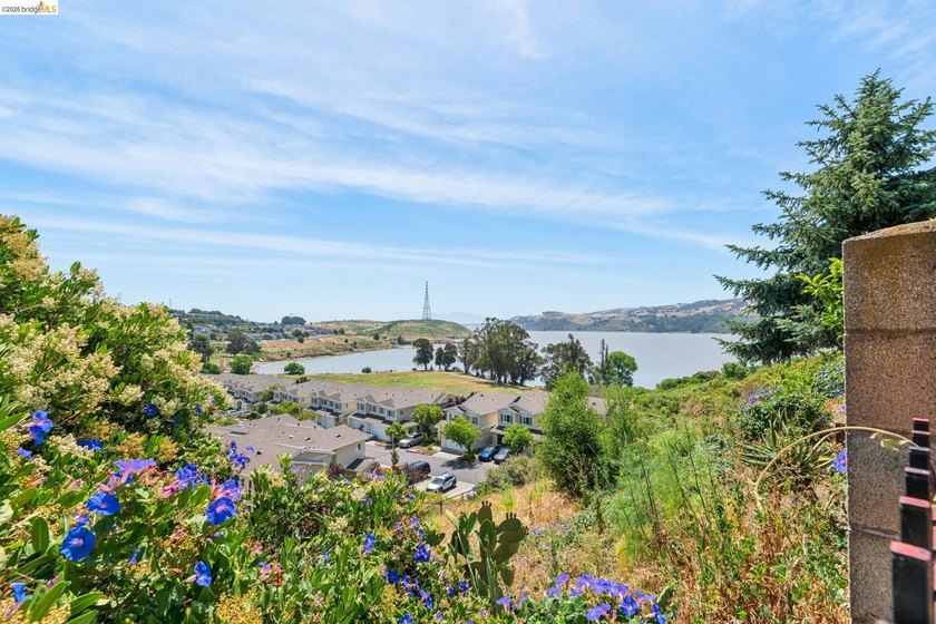 Welcome to 154 Camino Del Sol, located in the sought-after Vista - photo 34