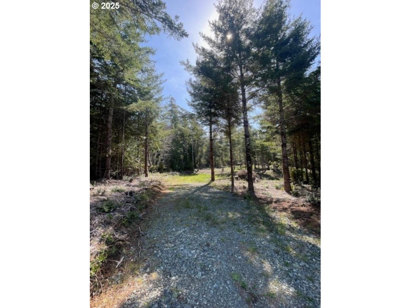 Enjoy your private Shangri-La on this serene one-acre lot - photo 4