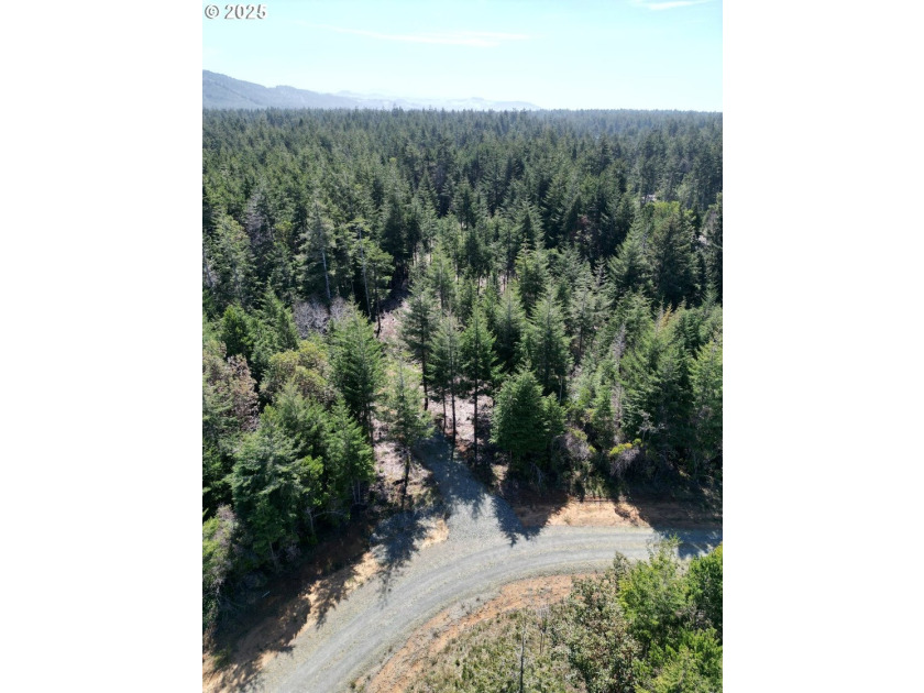 Enjoy your private Shangri-La on this serene one-acre lot - photo 7