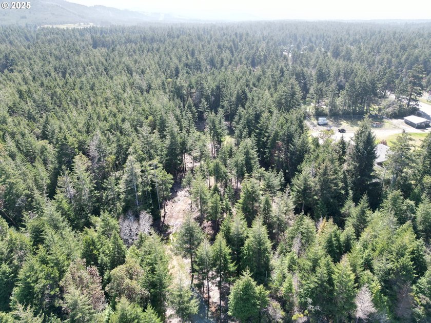 Enjoy your private Shangri-La on this serene one-acre lot - photo 8