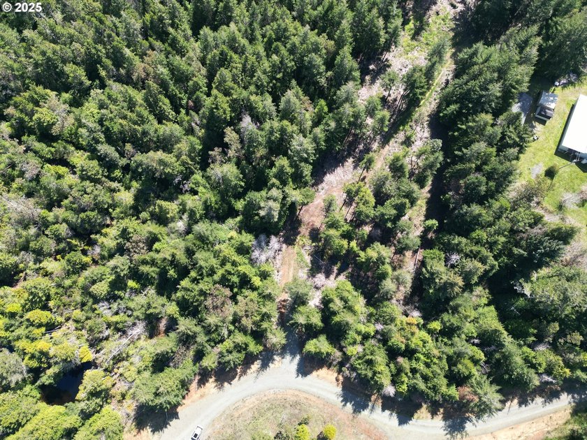 Enjoy your private Shangri-La on this serene one-acre lot - photo 9