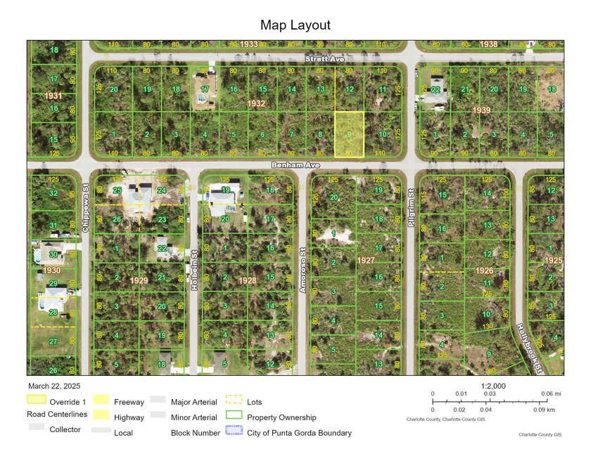 This Port Charlotte lot is now available for your Florida dream - photo 2