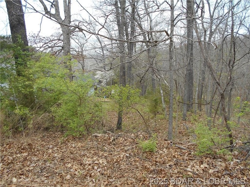 Nice lot in established subdivision with many amenities - photo 2
