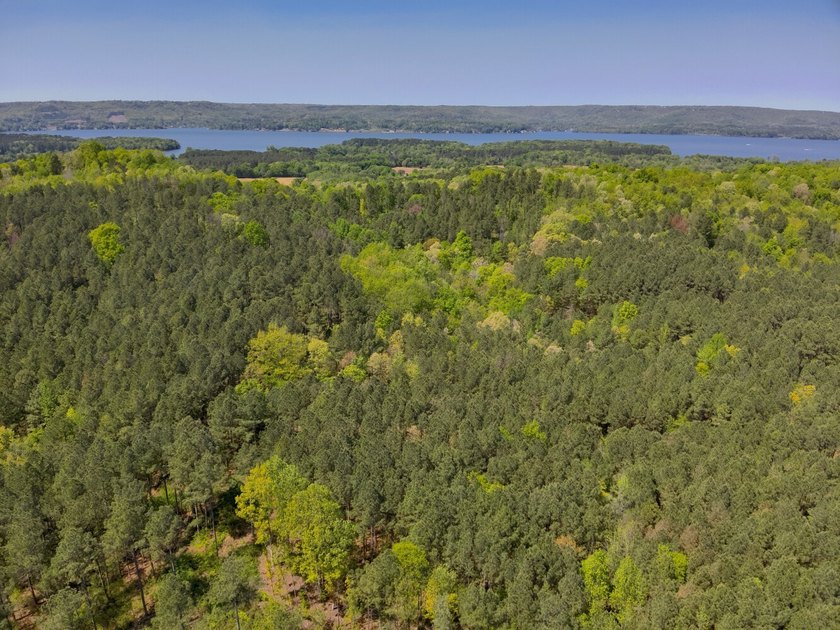 Land Luxury in Guntersville! Discover an exceptional opportunity - photo 12
