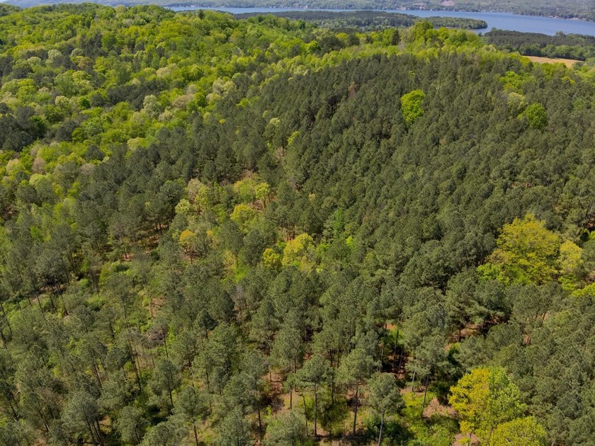 Land Luxury in Guntersville! Discover an exceptional opportunity - photo 13