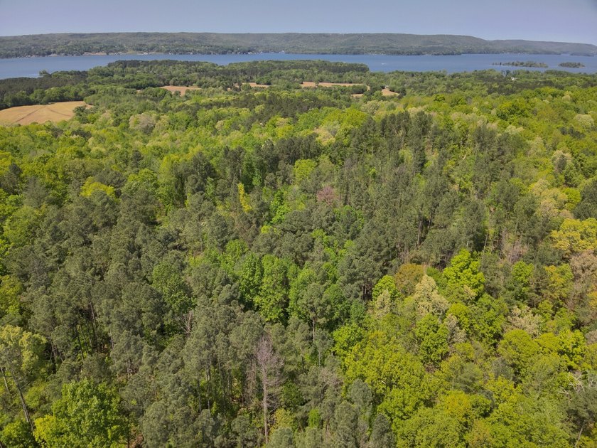 Land Luxury in Guntersville! Discover an exceptional opportunity - photo 15