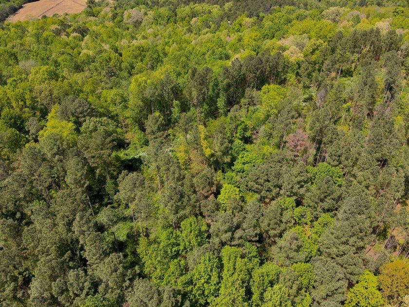 Land Luxury in Guntersville! Discover an exceptional opportunity - photo 16