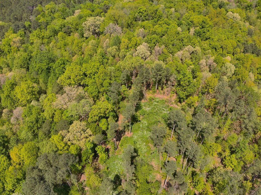 Land Luxury in Guntersville! Discover an exceptional opportunity - photo 17