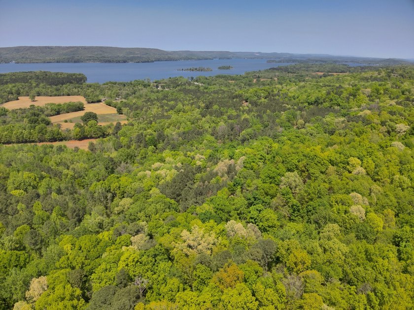 Land Luxury in Guntersville! Discover an exceptional opportunity - photo 19