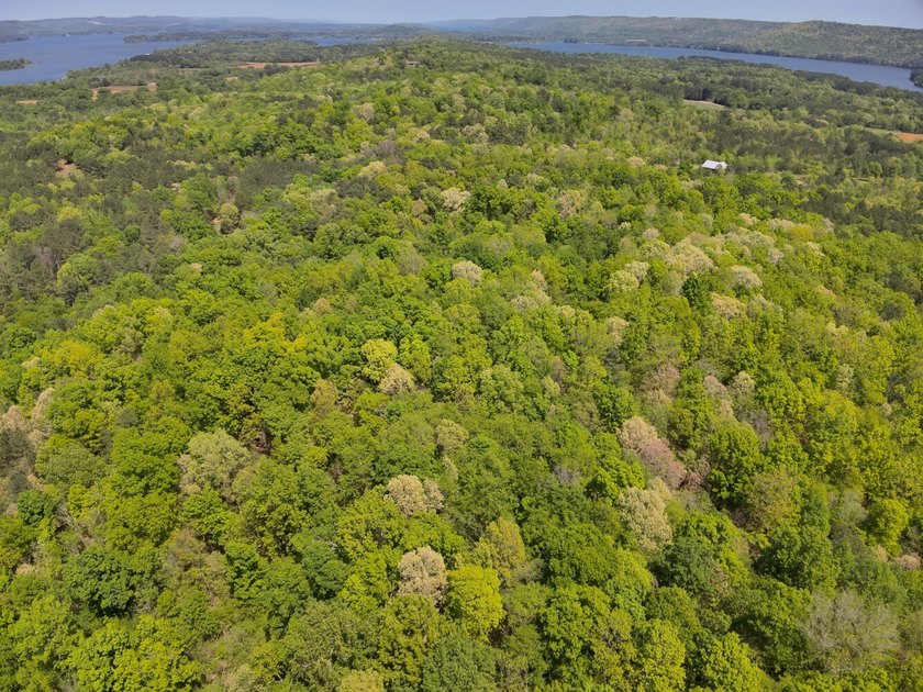 Land Luxury in Guntersville! Discover an exceptional opportunity - photo 20