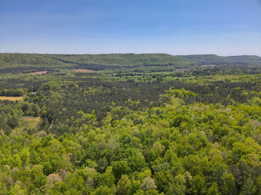 Land Luxury in Guntersville! Discover an exceptional opportunity - photo 21