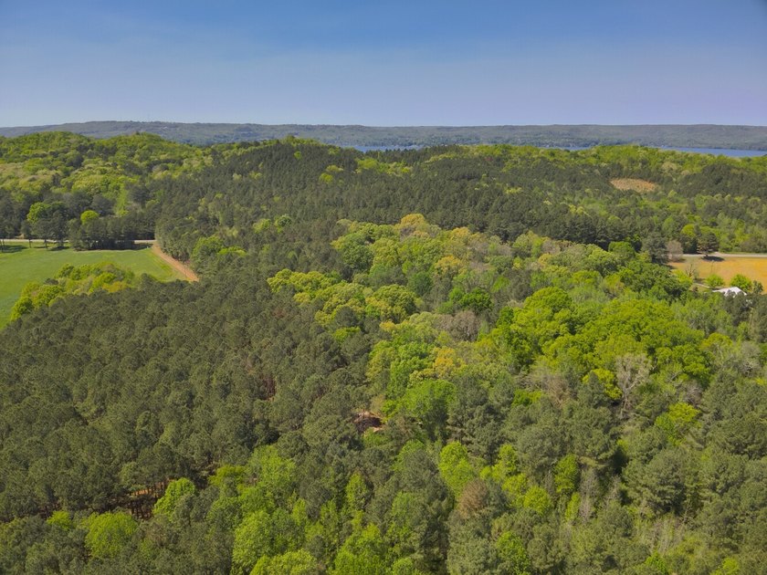 Land Luxury in Guntersville! Discover an exceptional opportunity - photo 24