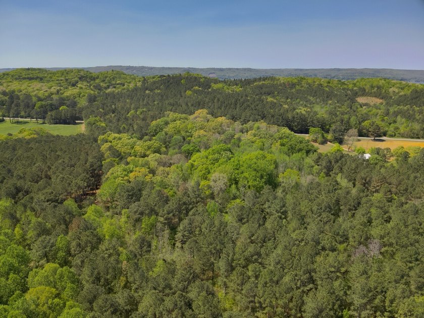 Land Luxury in Guntersville! Discover an exceptional opportunity - photo 25