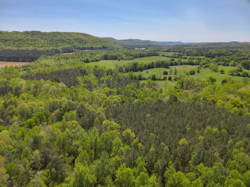 Land Luxury in Guntersville! Discover an exceptional opportunity - photo 27