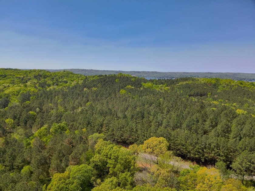 Land Luxury in Guntersville! Discover an exceptional opportunity - photo 28