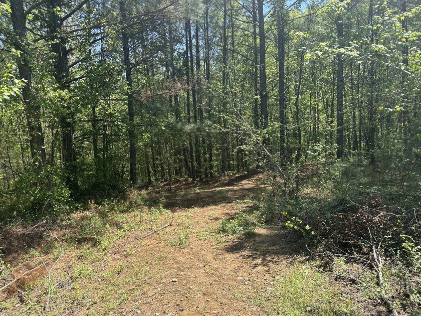Land Luxury in Guntersville! Discover an exceptional opportunity - photo 29