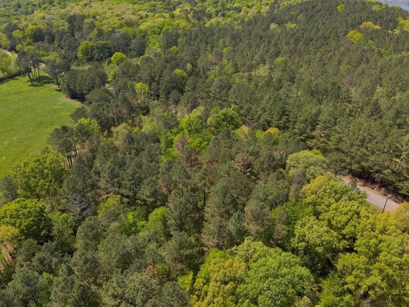 Land Luxury in Guntersville! Discover an exceptional opportunity - photo 32