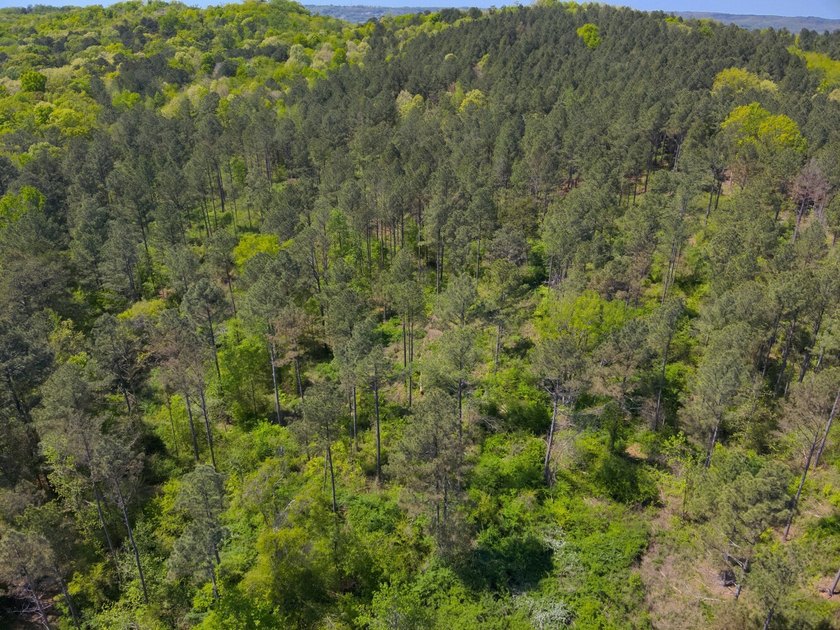 Land Luxury in Guntersville! Discover an exceptional opportunity - photo 34