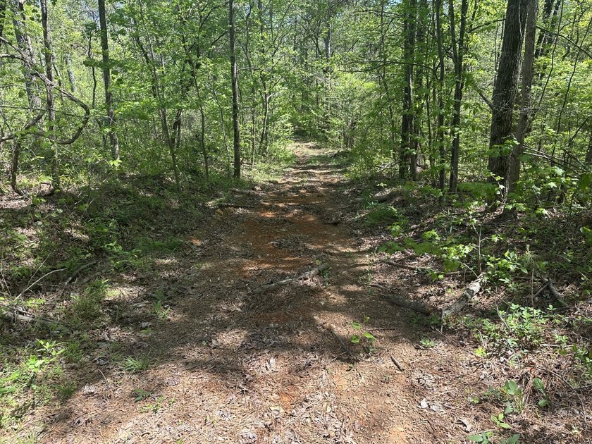 Land Luxury in Guntersville! Discover an exceptional opportunity - photo 35