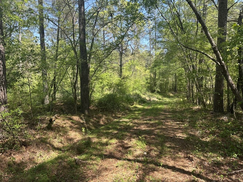 Land Luxury in Guntersville! Discover an exceptional opportunity - photo 38