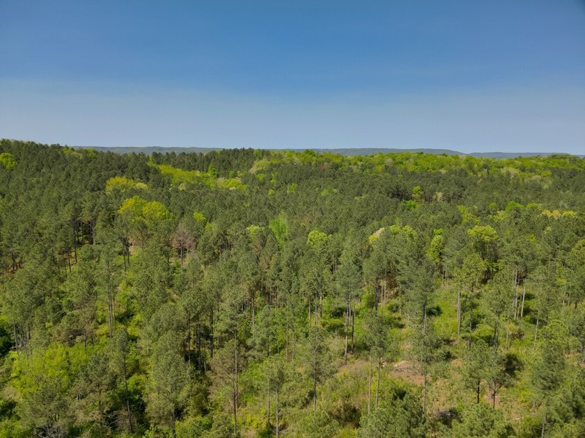 Land Luxury in Guntersville! Discover an exceptional opportunity - photo 39