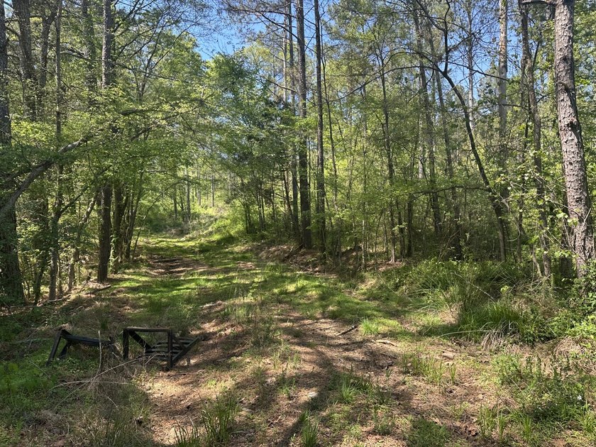 Land Luxury in Guntersville! Discover an exceptional opportunity - photo 42
