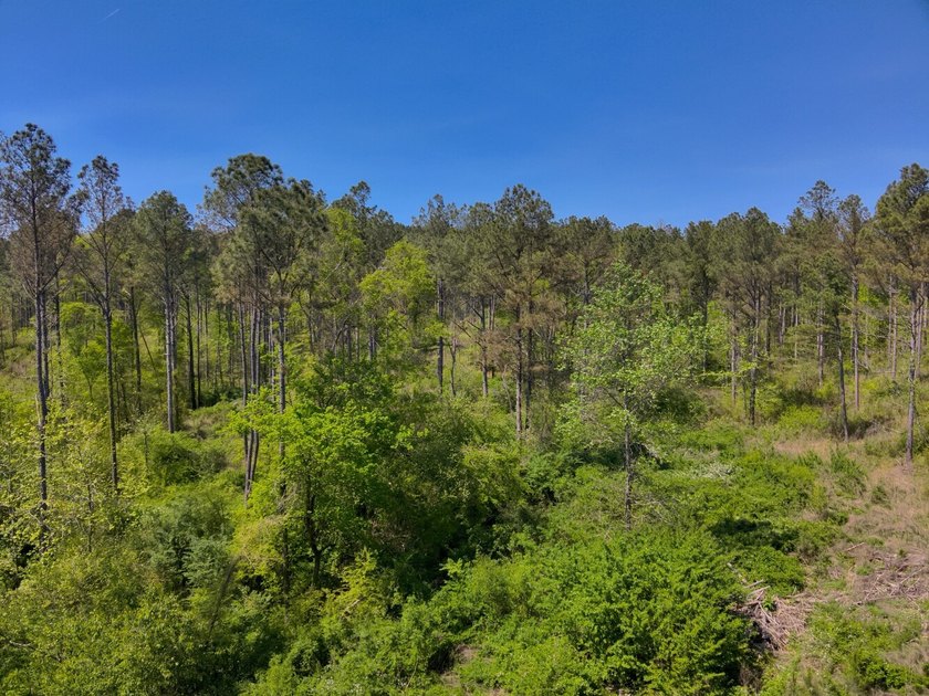 Land Luxury in Guntersville! Discover an exceptional opportunity - photo 43