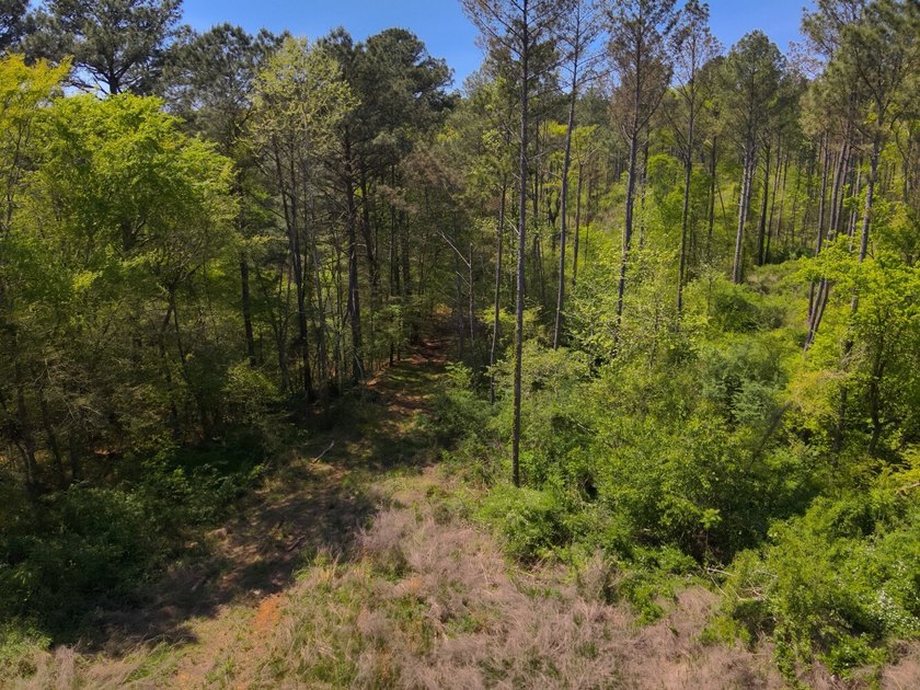 Land Luxury in Guntersville! Discover an exceptional opportunity - photo 45