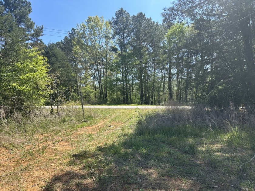 Land Luxury in Guntersville! Discover an exceptional opportunity - photo 47