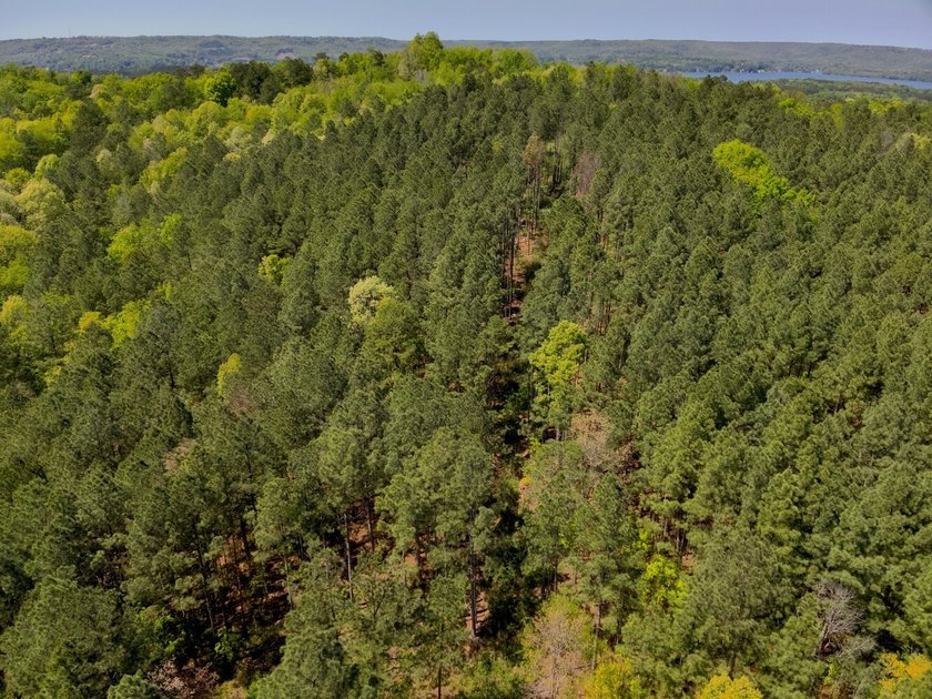 Land Luxury in Guntersville! Discover an exceptional opportunity - photo 48