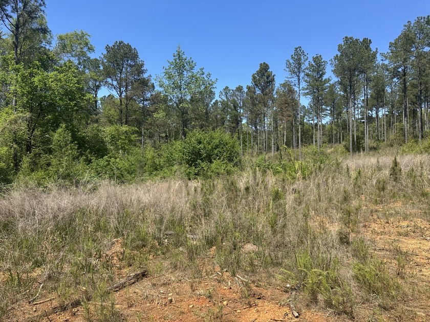 Land Luxury in Guntersville! Discover an exceptional opportunity - photo 49