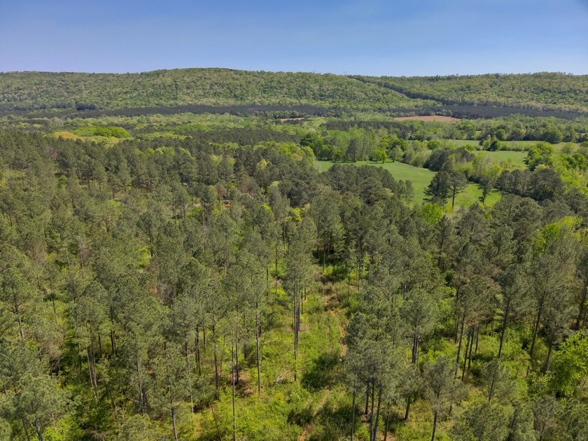 Land Luxury in Guntersville! Discover an exceptional opportunity - photo 50