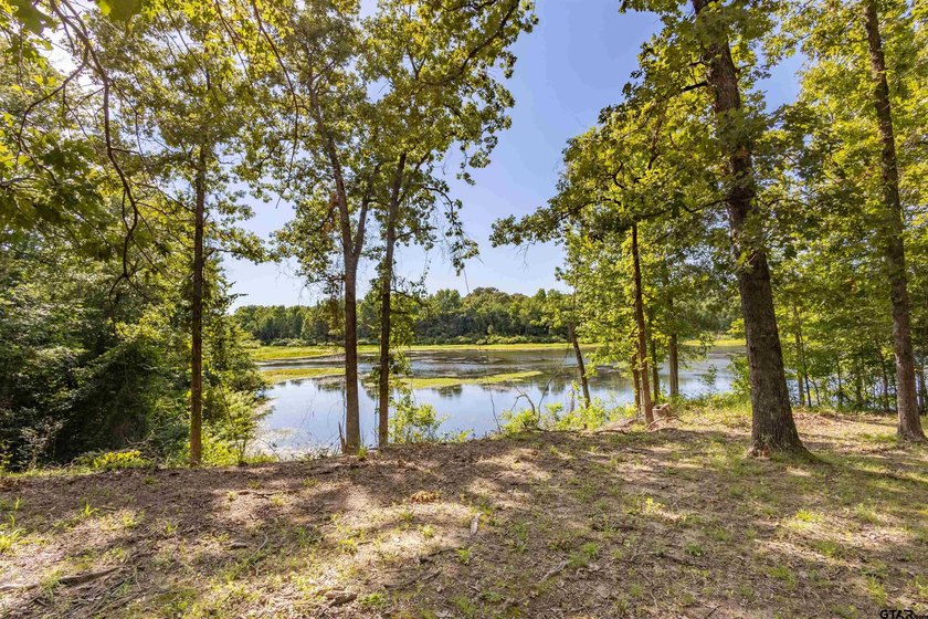 Experience the perfect blend of privacy, comfort, and East Texas - photo 40