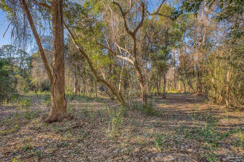 Prime development opportunity on 0.64 acres featuring four - photo 5