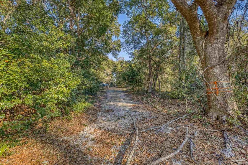 Prime development opportunity on 0.64 acres featuring four - photo 7