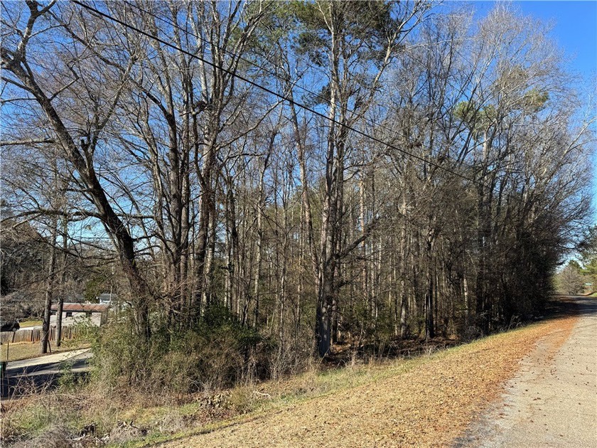 Build your dream home in Townville SC directly across the street - photo 11