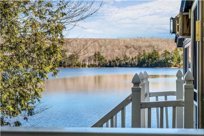 Your Year-Round Lakefront Retreat on Beautiful Springy - photo 38