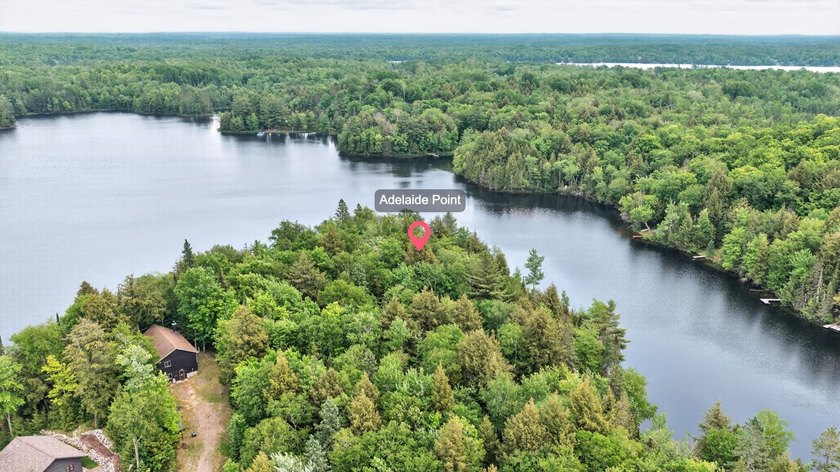An exceptional opportunity to own five contiguous waterfront - photo 12