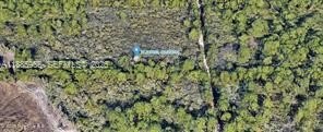 GREAT FLORIDA Investment on .51 ACRES OF LAND. Property Use: - photo 8