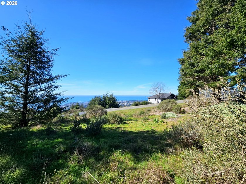 Perched high in one of Brookings' most sought after upscale - photo 4