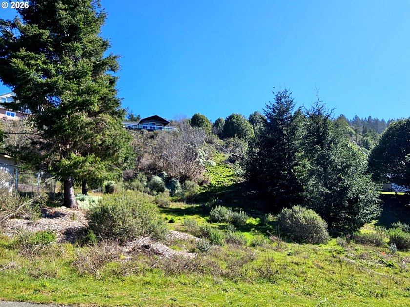 Perched high in one of Brookings' most sought after upscale - photo 5