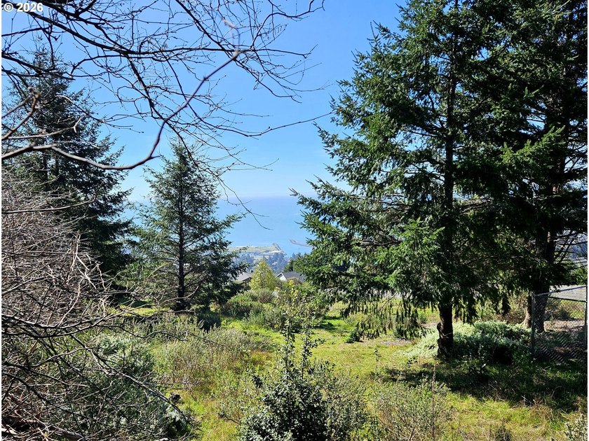 Perched high in one of Brookings' most sought after upscale - photo 6